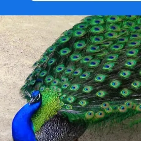 8 Mackie Ave * Bristol