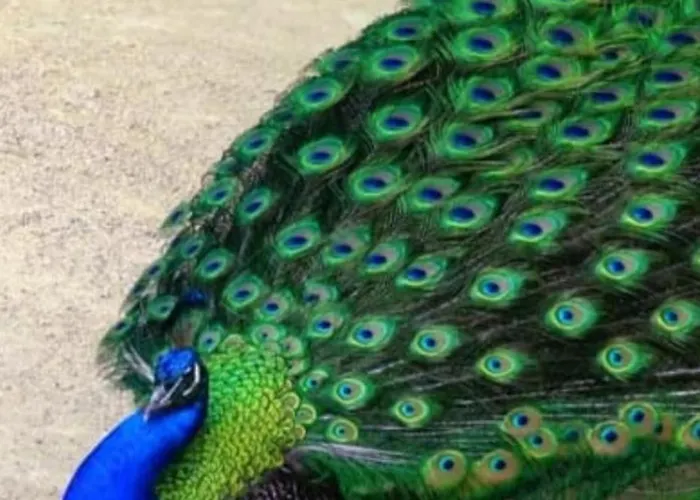 8 Mackie Ave * Bristol